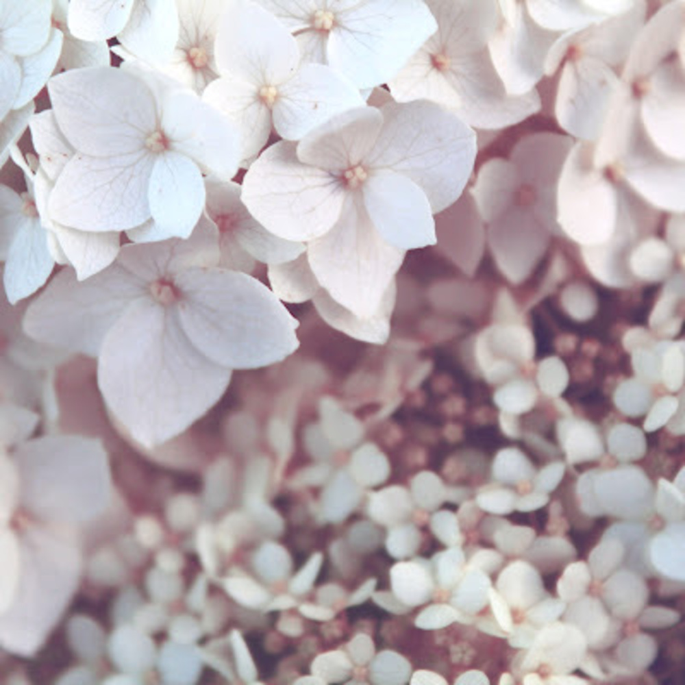 Meet your Posher, Claudia